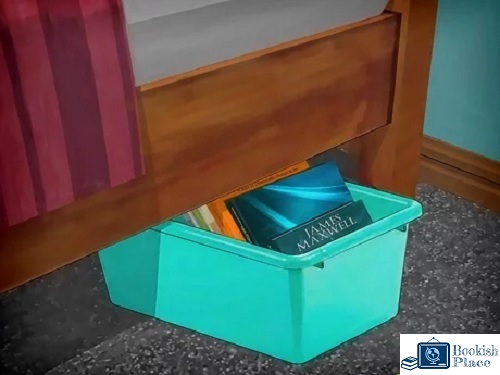 Store Books in Plastic Containers under the Bed